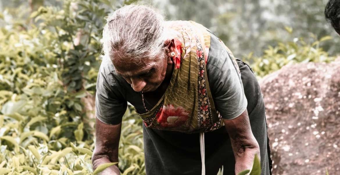 farmer farmer