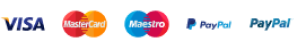 Visa, MasterCard, Maestro y PayPal
